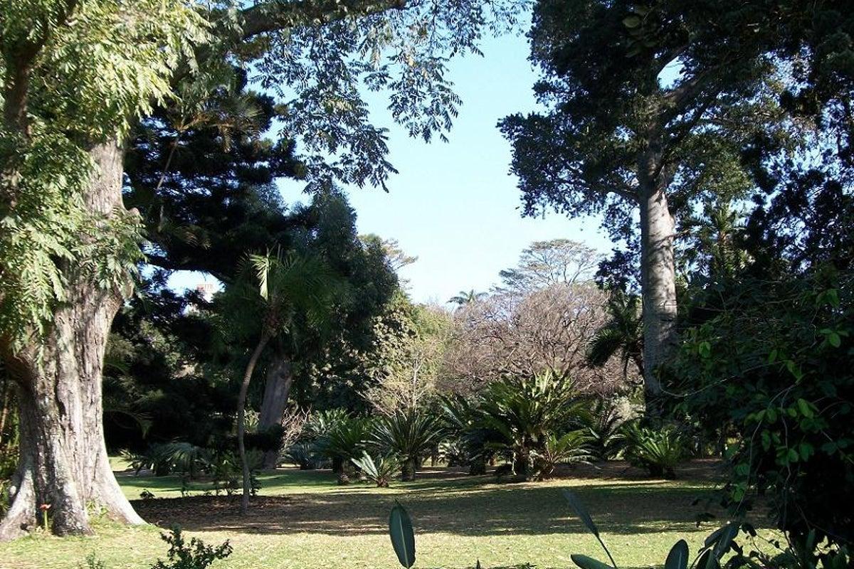 Historical UFO Sighting Report Uncovered in South Africa Historical UFO Sighting Report Uncovered in South Africa