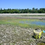 Parmesan Under Threat: Italy’s Drying Rivers Portend a Global Food Crisis Parmesan Under Threat: Italy’s Drying Rivers Portend a Global Food Crisis