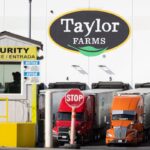 Taylor Farms Issues Comprehensive Recall Following Lettuce-Linked Illness Outbreak