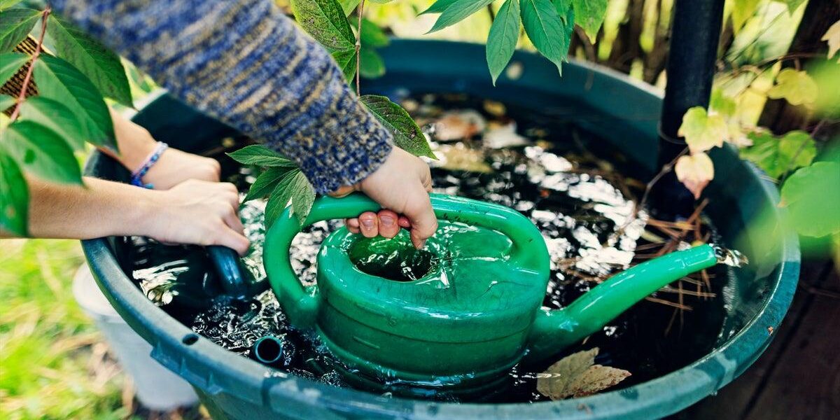 UK Water Conservation: Essential Tips to Reduce Home Water Usage During Drought