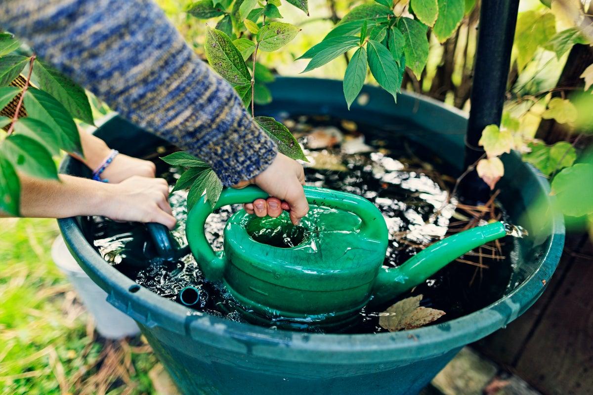 UK Water Conservation: Essential Tips to Reduce Home Water Usage During Drought UK Water Conservation: Essential Tips to Reduce Home Water Usage During Drought