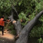 Mumbai’s Drowning Dream: Monsoon Exposes Cracks in India’s Urban Promise Mumbai’s Drowning Dream: Monsoon Exposes Cracks in India’s Urban Promise