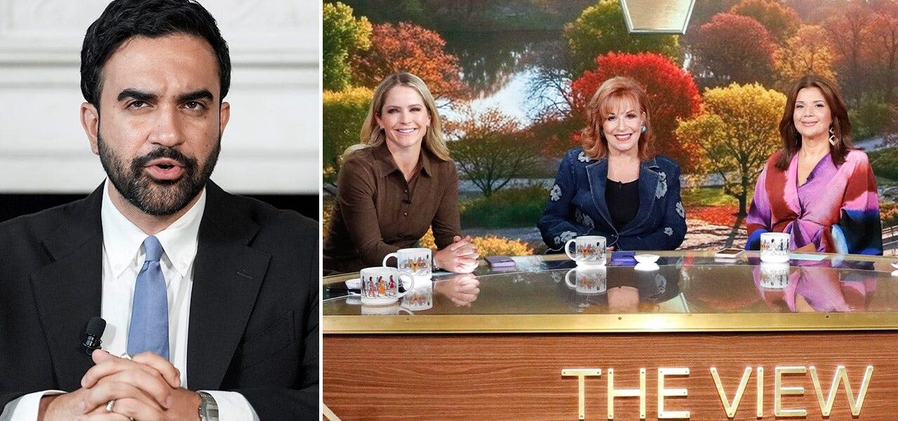 Daytime Television Scrutiny Ignites Backroom Executive Firestorm for Socialist Campaign Daytime Television Scrutiny Ignites Backroom Executive Firestorm for Socialist Campaign