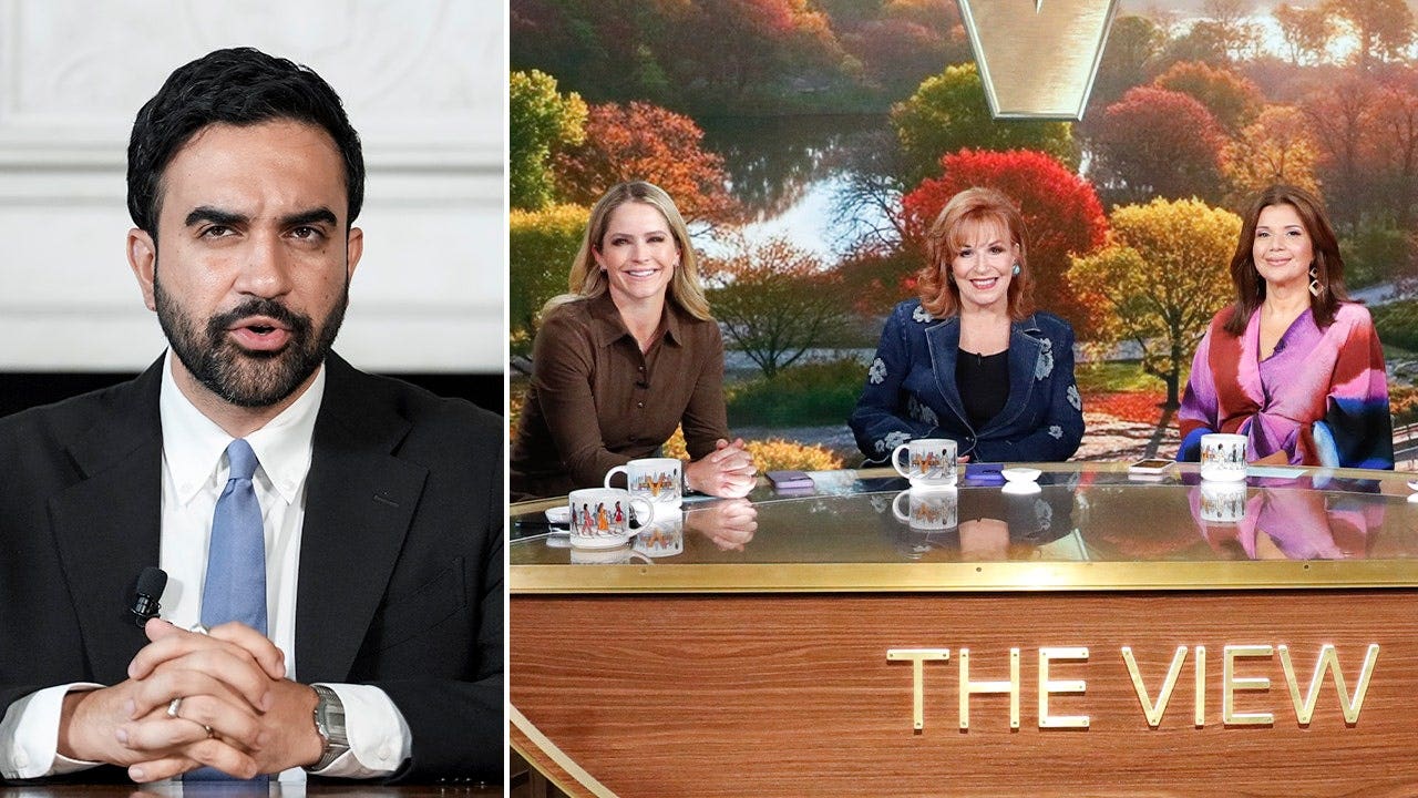 Daytime Television Scrutiny Ignites Backroom Executive Firestorm for Socialist Campaign Daytime Television Scrutiny Ignites Backroom Executive Firestorm for Socialist Campaign