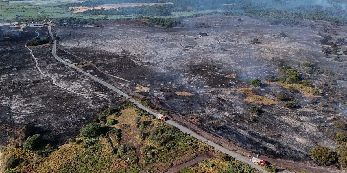 Essex Wildfire Threatens Nuclear Plant, Firefighters Battle Suffolk Flames Essex Wildfire Threatens Nuclear Plant, Firefighters Battle Suffolk Flames