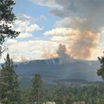Sacaton’s Slow Burn: Rain’s Brief Respite Masks a Deeper Environmental reckoning in the American West Sacaton’s Slow Burn: Rain’s Brief Respite Masks a Deeper Environmental reckoning in the American West