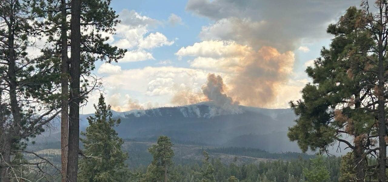 As Sacaton Fire Smolders, New Mexico Confronts a Bleaker Future, Inch by Burnt Inch As Sacaton Fire Smolders, New Mexico Confronts a Bleaker Future, Inch by Burnt Inch
