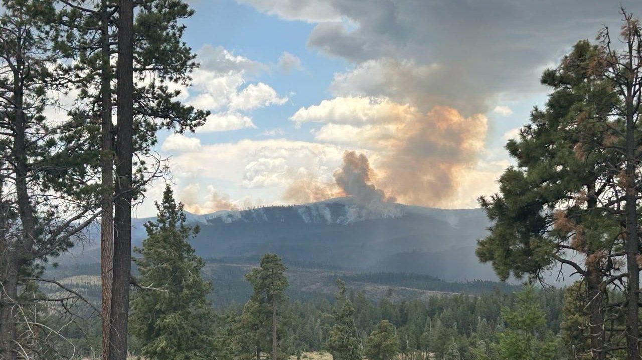 As Sacaton Fire Smolders, New Mexico Confronts a Bleaker Future, Inch by Burnt Inch As Sacaton Fire Smolders, New Mexico Confronts a Bleaker Future, Inch by Burnt Inch