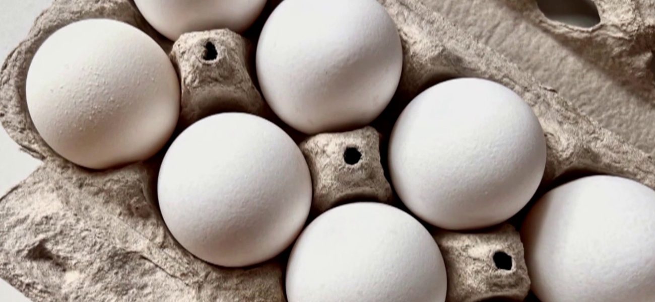 Egg Cartel Pays .3M, 53M Eggs in Price-Fixing