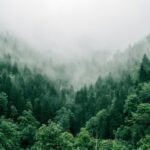 Fashion Pioneer Benedict Lamb Champions Climate Restoration Through Regenerative Design