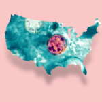 Michigan’s Cyclosporiasis Quagmire: Bureaucratic Lag Casts Long Shadow Michigan’s Cyclosporiasis Quagmire: Bureaucratic Lag Casts Long Shadow