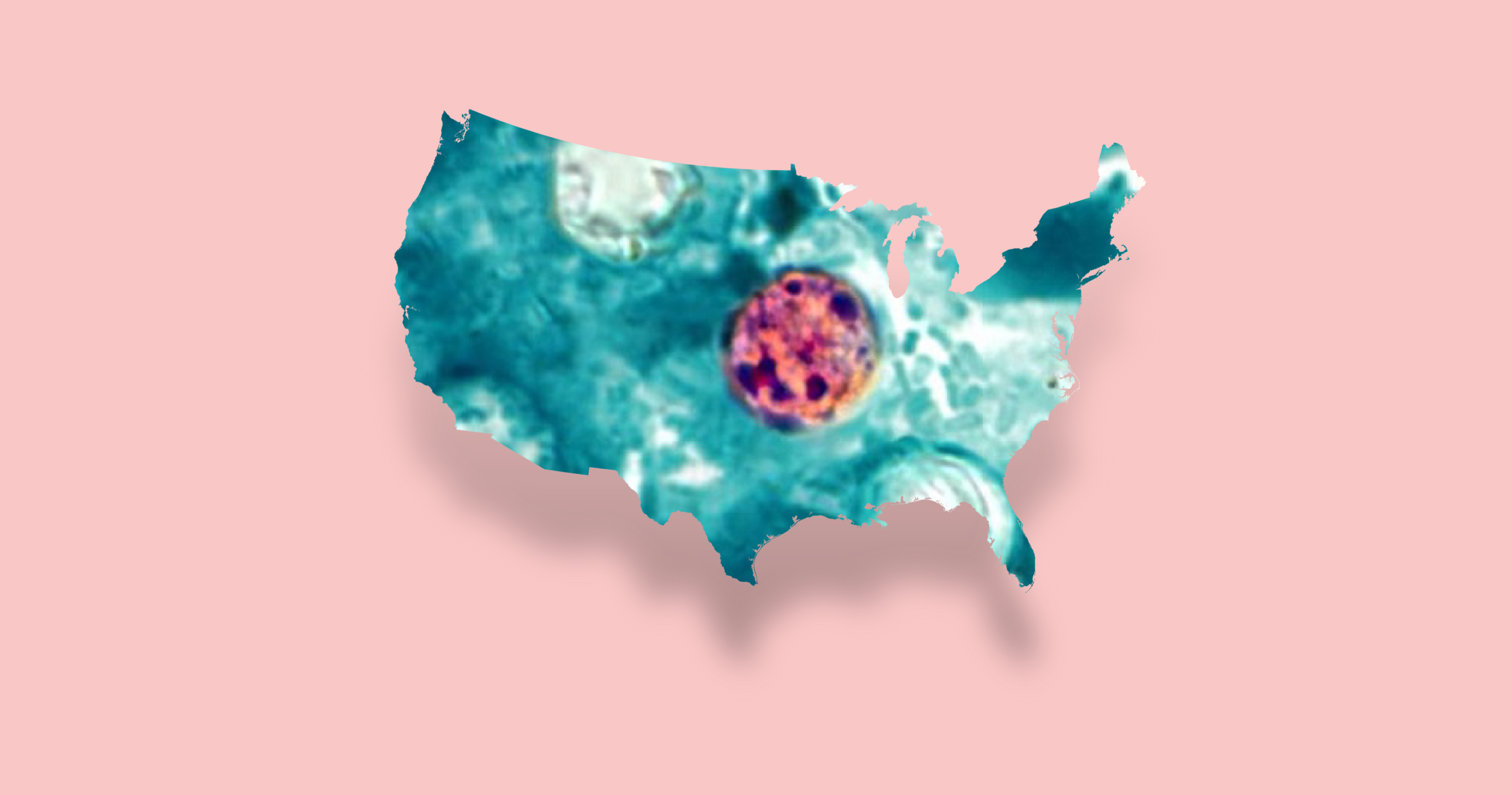 Michigan’s Cyclosporiasis Quagmire: Bureaucratic Lag Casts Long Shadow