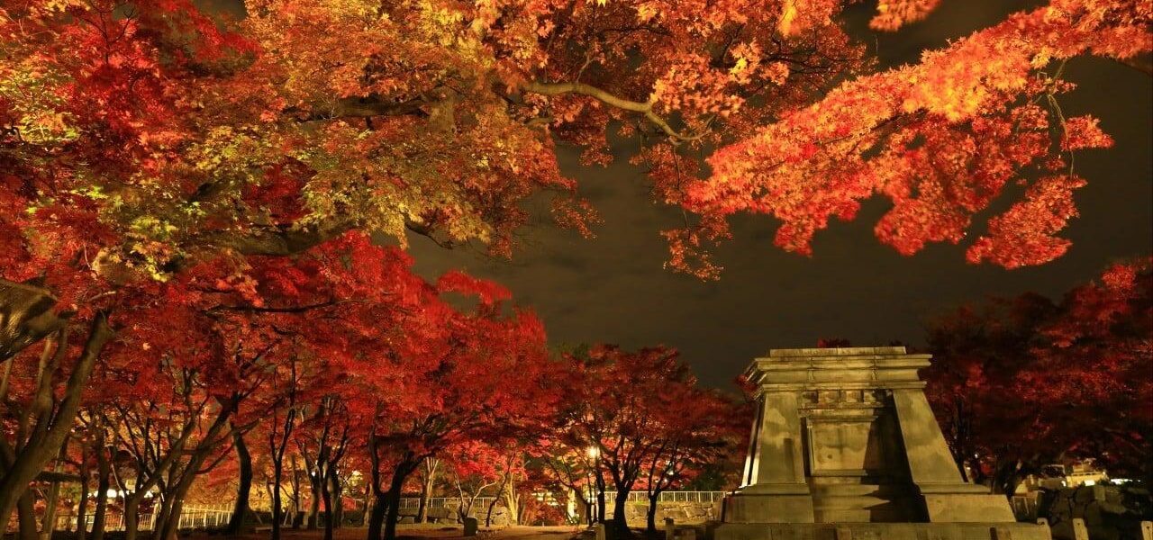Japan’s Tohoku Region Struggles to Attract Tourists Despite National Boom Japan’s Tohoku Region Struggles to Attract Tourists Despite National Boom