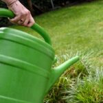 Gardening Experts Provide Essential Strategies to Preserve Plants Amid UK Hosepipe Ban Gardening Experts Provide Essential Strategies to Preserve Plants Amid UK Hosepipe Ban