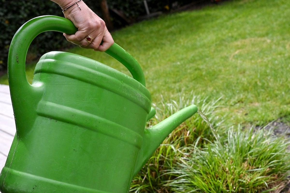 Gardening Experts Provide Essential Strategies to Preserve Plants Amid UK Hosepipe Ban Gardening Experts Provide Essential Strategies to Preserve Plants Amid UK Hosepipe Ban