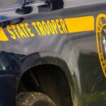 Tragic Car Accident: Elderly Driver Dies After Collision with Horse in Upstate New York