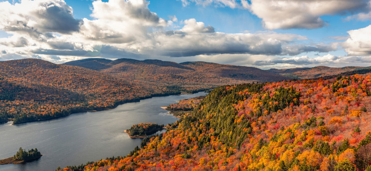 Quebec’s Wilderness: A Political Chessboard Masquerading as Nature’s Sanctuary Quebec’s Wilderness: A Political Chessboard Masquerading as Nature’s Sanctuary