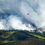 Fanned by Old Ideas: Trump’s ‘Full Suppression’ Fire Policy Ignites Controversy, Claims Lives Fanned by Old Ideas: Trump’s ‘Full Suppression’ Fire Policy Ignites Controversy, Claims Lives