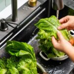 Cyclospora Outbreak Sickens Over 11,500 in US: Expert Weighs In Cyclospora Outbreak Sickens Over 11,500 in US: Expert Weighs In
