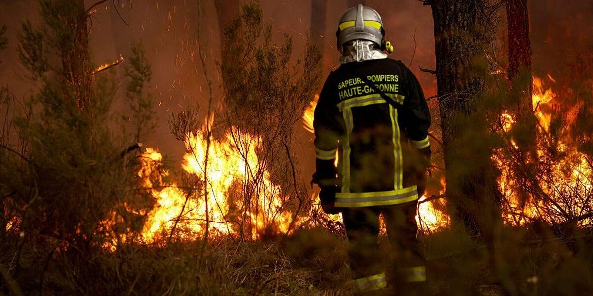 Wildfires Threaten Bordeaux Vineyards Amid Severe Drought Wildfires Threaten Bordeaux Vineyards Amid Severe Drought