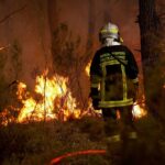 Wildfires Threaten Bordeaux Vineyards Amid Severe Drought