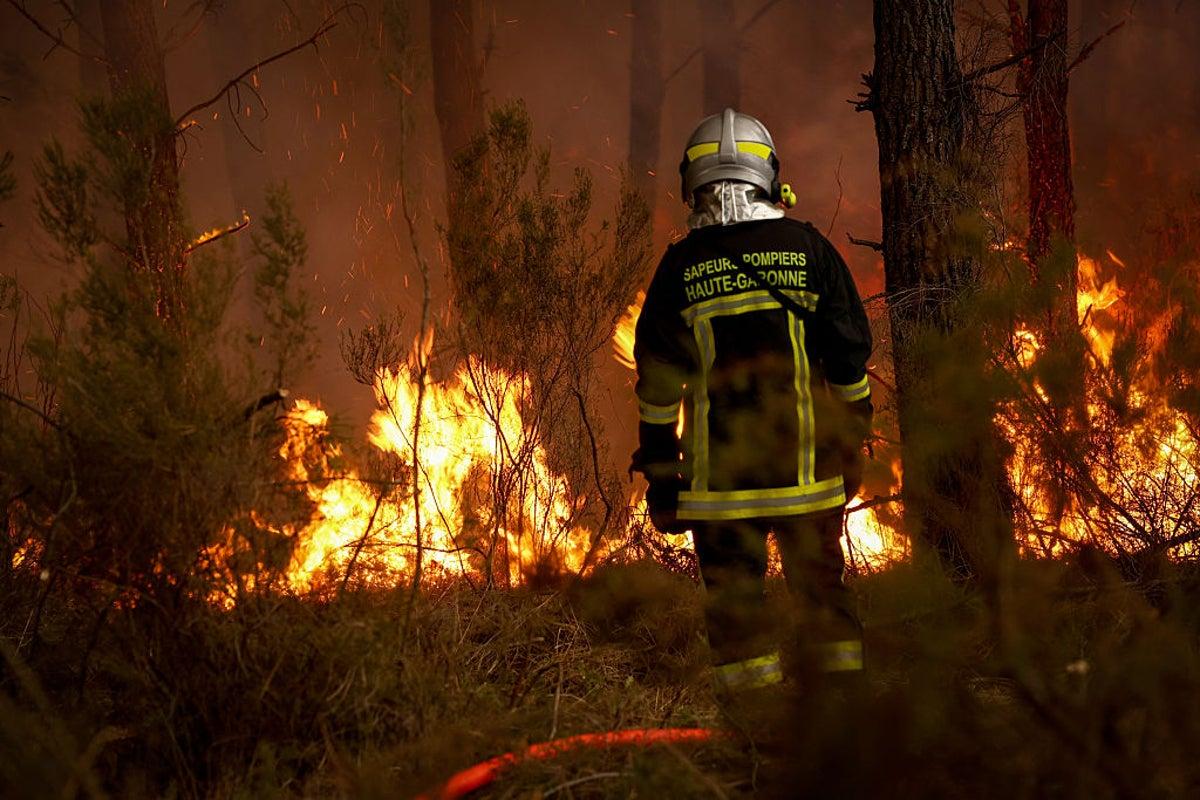 Wildfires Threaten Bordeaux Vineyards Amid Severe Drought