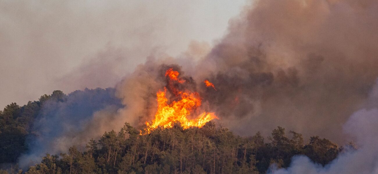 Spain’s Inferno: Andalusia’s Scorched Earth, A Global Wake-Up Call