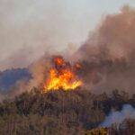 Spain’s Inferno: Andalusia’s Scorched Earth, A Global Wake-Up Call