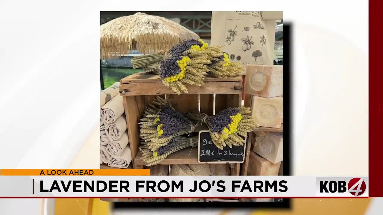 Albuquerque’s Lavender Fourth: A New Tradition Blooms Albuquerque’s Lavender Fourth: A New Tradition Blooms