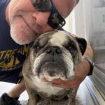 Beyond the Sidelines: How a Coach’s Canine Companion Shapes Notre Dame’s High-Stakes Recruiting War Beyond the Sidelines: How a Coach’s Canine Companion Shapes Notre Dame’s High-Stakes Recruiting War