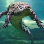 Israel Reclassifies Crocodiles to Enhance Prison Security