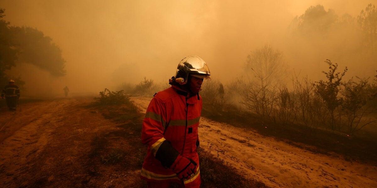 Thousands Flee Wildfires as France Faces Catastrophic Blaze Thousands Flee Wildfires as France Faces Catastrophic Blaze