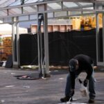 Seattle Food Festival Shooting: Police Identify Three Shooters, One Deceased Seattle Food Festival Shooting: Police Identify Three Shooters, One Deceased