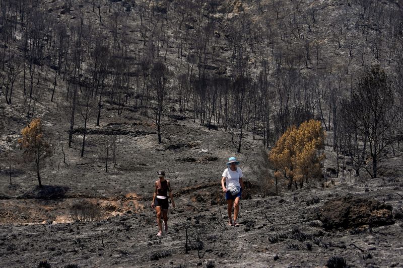 Ash and Iron: Spain’s Deadly Wildfire Ignites Hard Truths on Europe’s Climate Edge Ash and Iron: Spain’s Deadly Wildfire Ignites Hard Truths on Europe’s Climate Edge