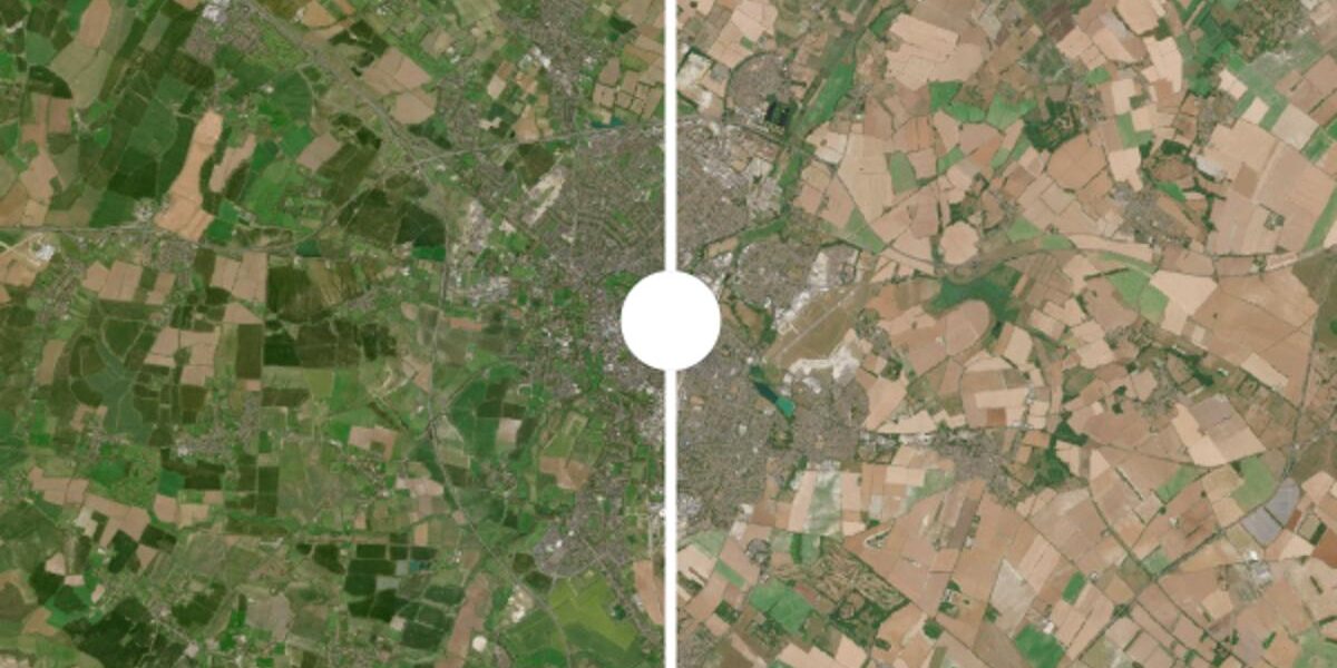 Record Heatwaves Devastate UK Green Spaces and Farmland