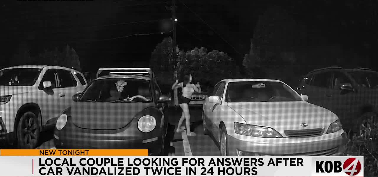 DIY Justice: Albuquerque Couple’s Viral Plea Exposes Urban Insecurity DIY Justice: Albuquerque Couple’s Viral Plea Exposes Urban Insecurity