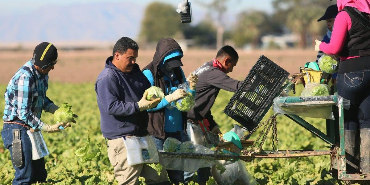 Cyclospora Outbreak: Parasite Transmission and Food Supply Contamination Investigated Cyclospora Outbreak: Parasite Transmission and Food Supply Contamination Investigated