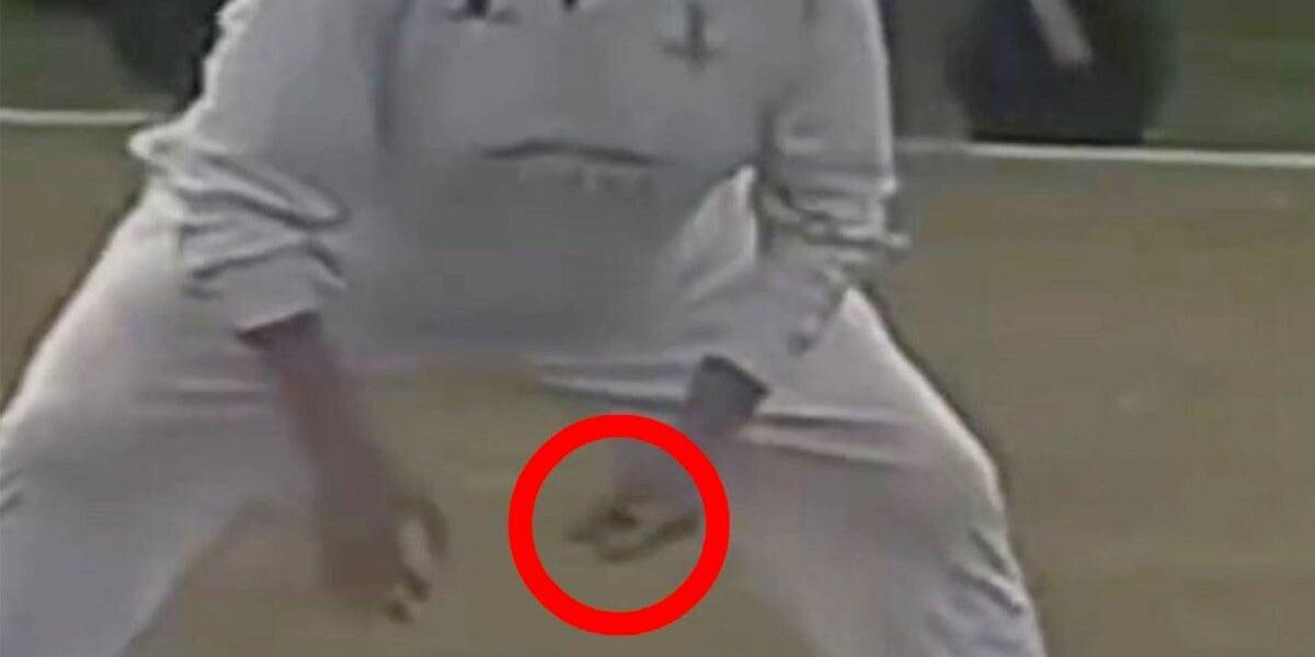 Cricket Cheating Scandal: ‘Clicky Ponting’ Investigation Raises Welfare Concerns Cricket Cheating Scandal: ‘Clicky Ponting’ Investigation Raises Welfare Concerns