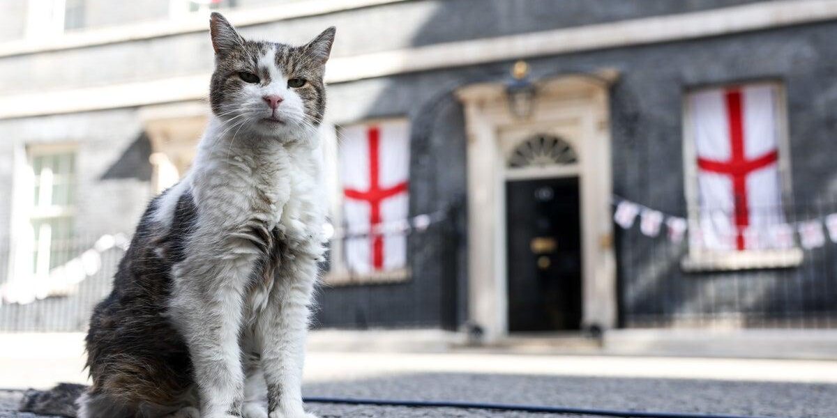 Larry the Cat Greets New UK Prime Minister at 10 Downing Street Larry the Cat Greets New UK Prime Minister at 10 Downing Street