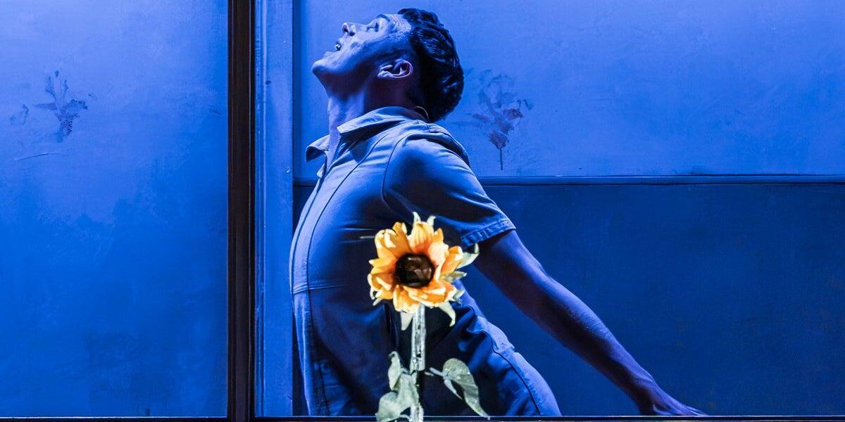 Audience Member Faints During Graphic Scene on Opening Night of London Play