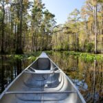 Okefenokee Swamp’s World Heritage Bid Sparks Local Debate