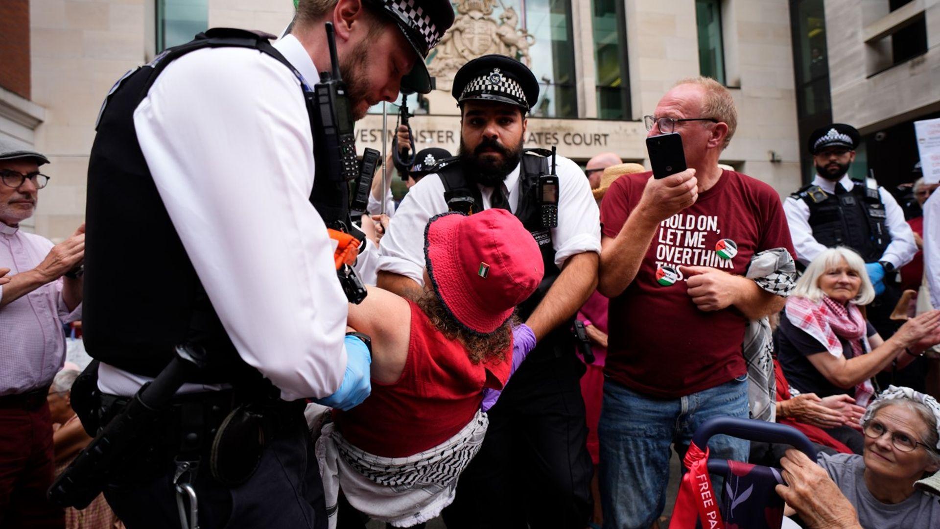 Palestine Action Terror Ban Appeal Reaches Supreme Court Amid 117 Arrests Palestine Action Terror Ban Appeal Reaches Supreme Court Amid 117 Arrests