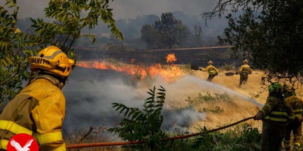 Wildfires Devastate Spain: Homes Engulfed in Flames Wildfires Devastate Spain: Homes Engulfed in Flames