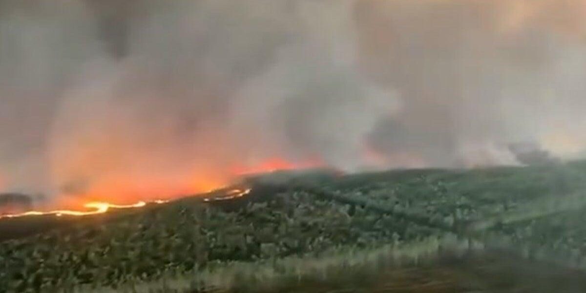 Aerial Footage Reveals Devastating Wildfires Near Bordeaux Aerial Footage Reveals Devastating Wildfires Near Bordeaux
