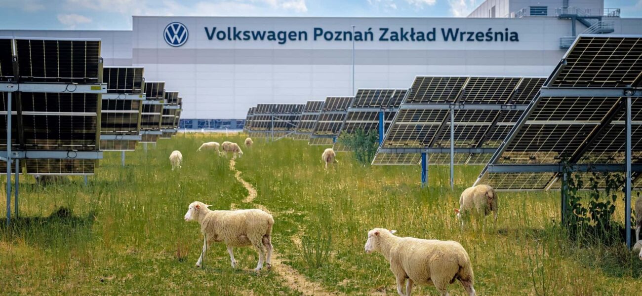 Corporate Greenwashing or Genuine Graze? The Curious Case of Automotive Agropastoralism