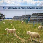 Corporate Greenwashing or Genuine Graze? The Curious Case of Automotive Agropastoralism