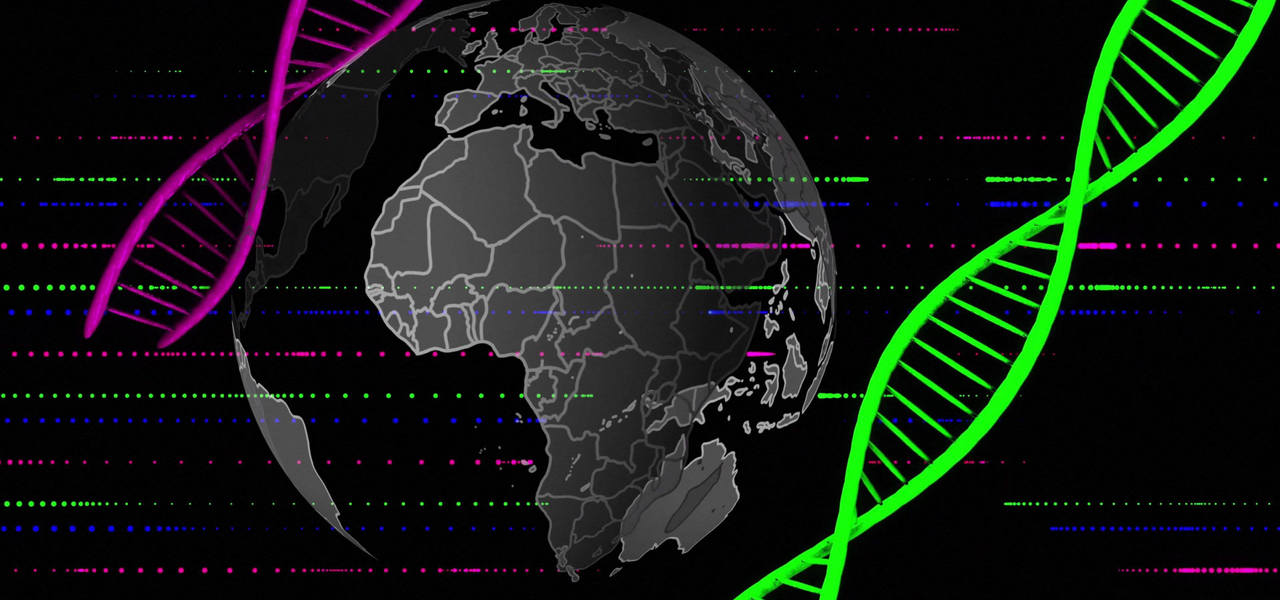 African Soil Rewrites Deep Human History, Echoes Across Continents African Soil Rewrites Deep Human History, Echoes Across Continents