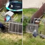 Teenager’s Escape Attempt Ends in Fence Collapse During Police Pursuit