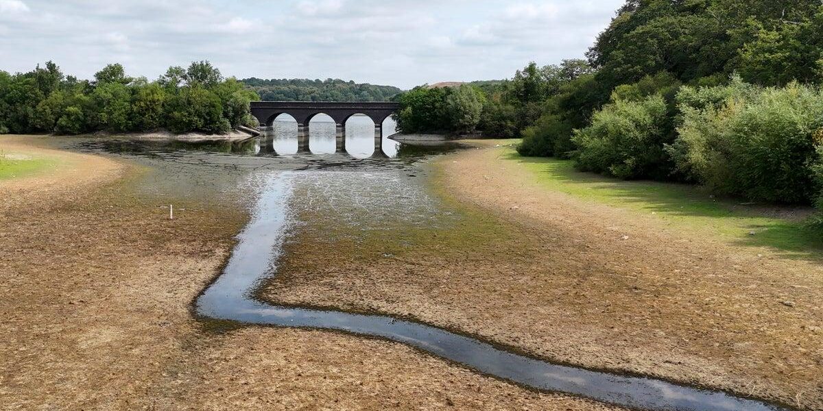 UK Prepares for Fourth Summer Heatwave as Temperatures Expected to Reach 35C UK Prepares for Fourth Summer Heatwave as Temperatures Expected to Reach 35C