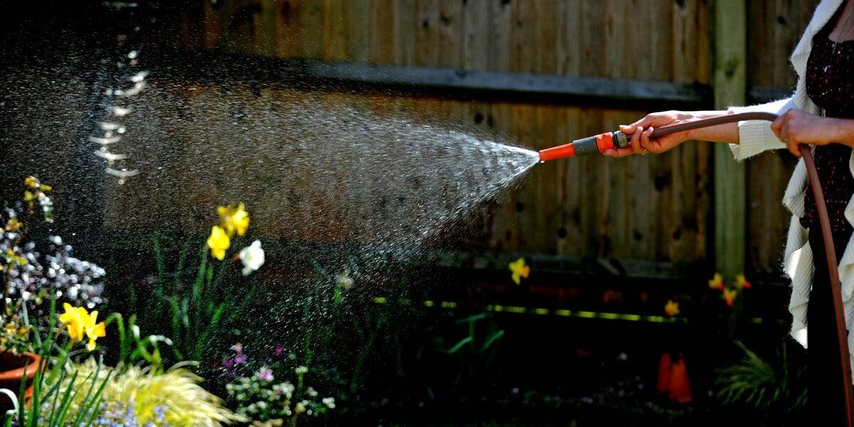 Hosepipe Ban: Strategic Plant Care to Navigate Water Restrictions Hosepipe Ban: Strategic Plant Care to Navigate Water Restrictions